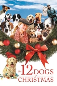 12 Dogs Of Christmas 12 Dogs Of Christmas