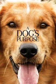 A Dog’s Purpose A Dog’s Purpose