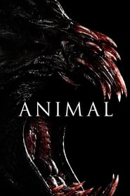 Animal Animal
