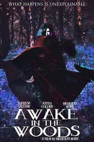 Awake in the Woods Awake in the Woods