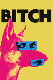 Bitch Bitch