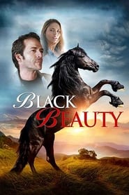 Black Beauty Black Beauty
