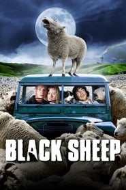 Black Sheep Black Sheep
