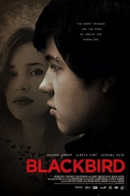 Blackbird Blackbird
