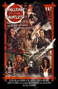 Challenge of Five Gauntlets Challenge of Five Gauntlets