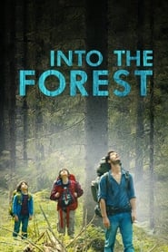 Dans la forêt Dans la forêt