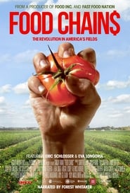 Food Chains Food Chains