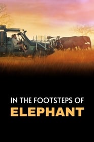 In the Footsteps of Elephant In the Footsteps of Elephant
