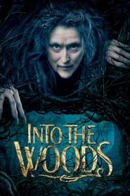 Into the Woods Into the Woods