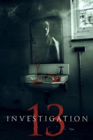 Investigation 13 Investigation 13
