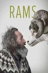 Rams Rams