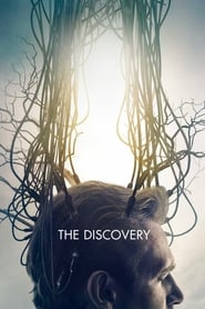 The Discovery The Discovery