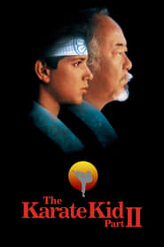 The Karate Kid 2