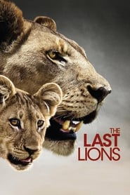 The Last Lions The Last Lions