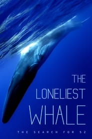The Loneliest Whale: The Search for 52 The Loneliest Whale: The Search for 52