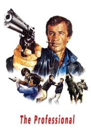 The Professional The Professional