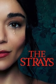 The Strays The Strays