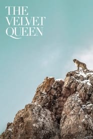 The Velvet Queen The Velvet Queen