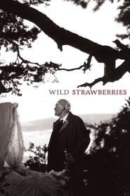 Wild Strawberries Wild Strawberries