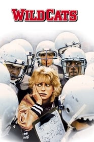Wildcats Wildcats
