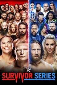 WWE Survivor Series WWE Survivor Series